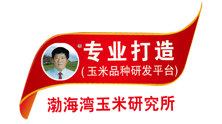 秦皇岛市渤海湾玉米研究所